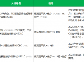 战胜“药王”后遭遇总生存期争议，这个国产双抗的“全球成绩单”你打几分？